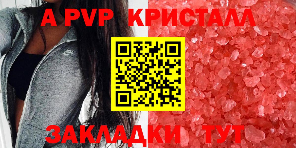 Альфа ПВП СК Бийск