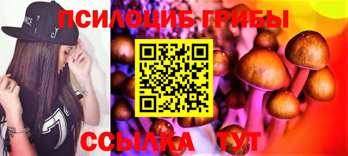 Псилоцибиновые грибы MAGIC MUSHROOMS  Вход с VPN  Бийск 